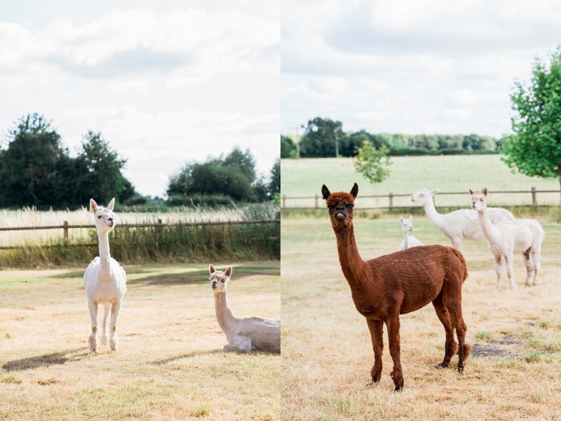 Maxeen Kim Photography, Bix Manor Wedding, Fine Art Wedding