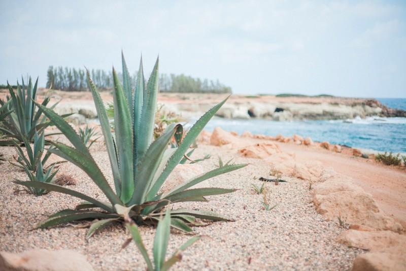 Maxeen Kim Photography, Oniro By The Sea, Ship wreck, Paphos, Cyprus, Travel Photography