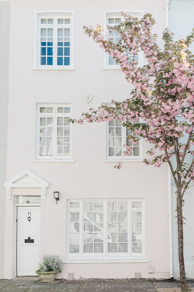 The exterior of a pretty white town house with a pink blossom tree outside in London's Notting Hill