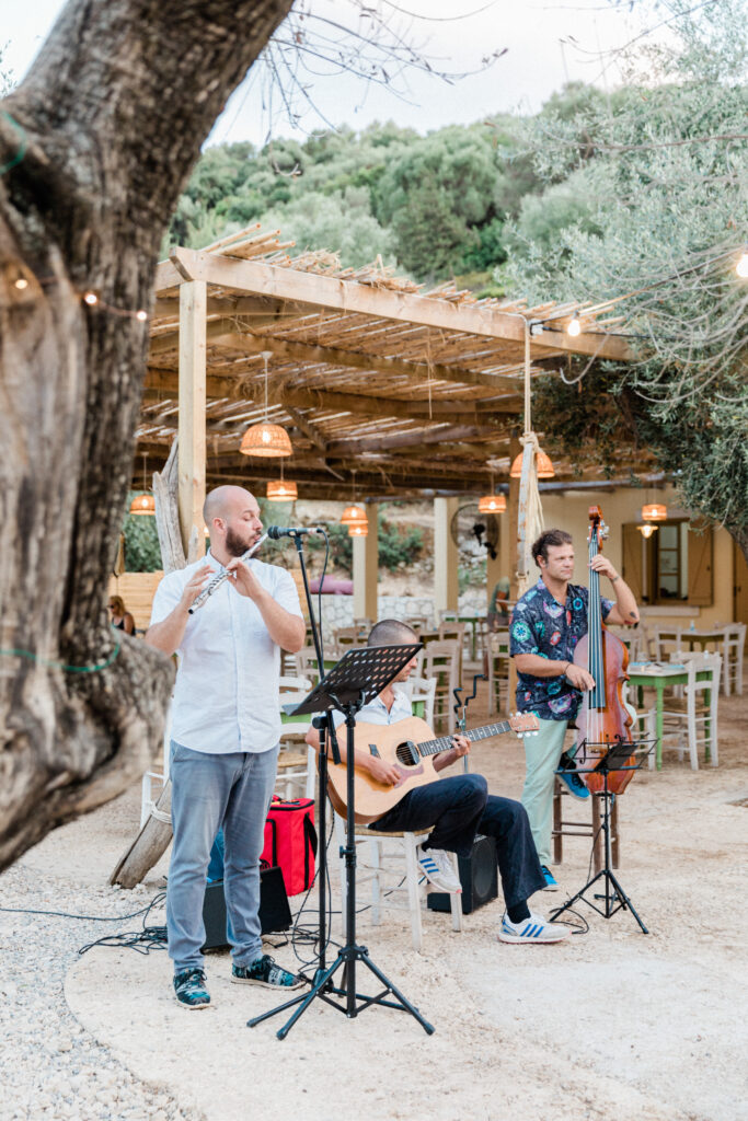 Greek wedding band playing reception in Ithaca.